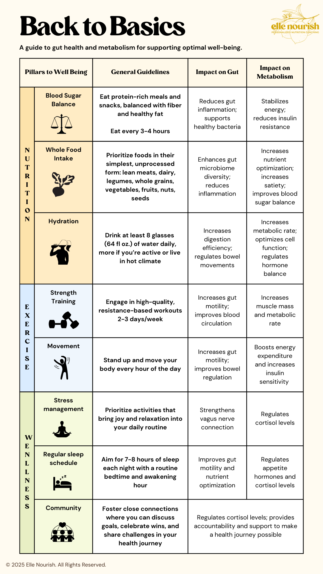 Back to Basics: A Guide to Gut Health & Metabolism